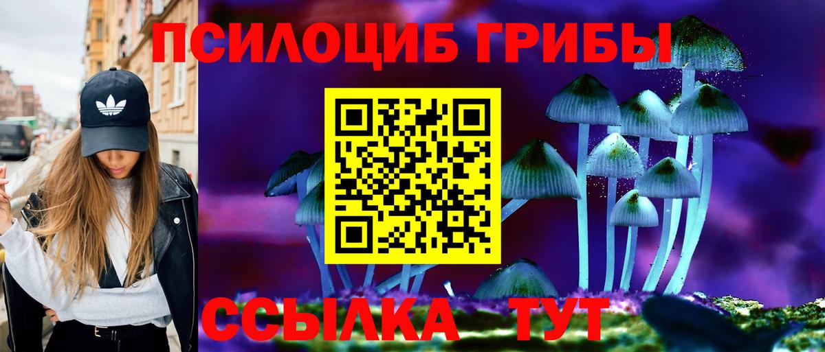 Псилоцибиновые грибы Magic Shrooms  Галлюциногенные грибы Magic Shrooms  что такое наркотик  Сокол  Вход с VPN 